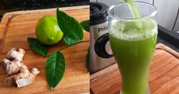 Como fazer Suco com ora pro nobis rico em fibras e cálcio