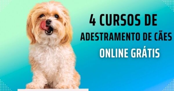 Curso de adestramento de cães online Grátis